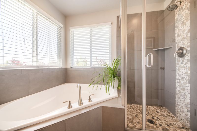 Renovated Bathroom Spaces