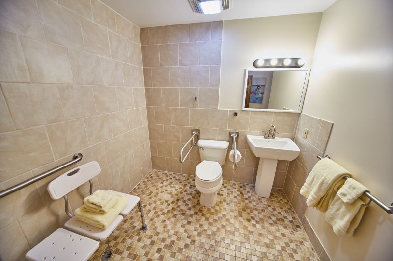 Best Bathroom Accessibility Contractors in Edwardsville, IL